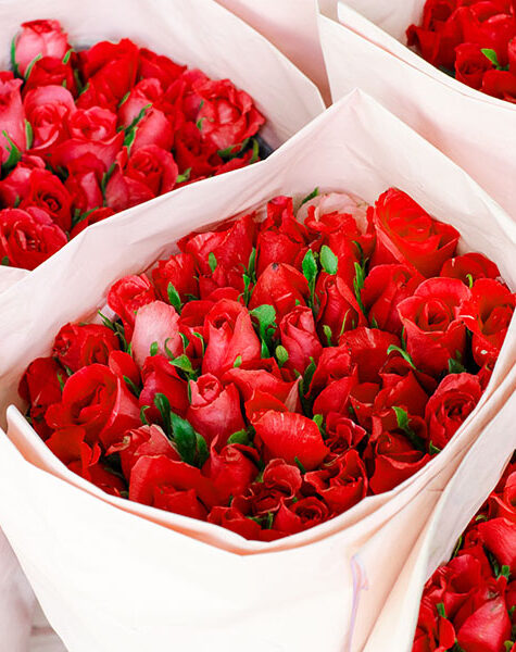 birthday-flower-delivery ACCAAVO